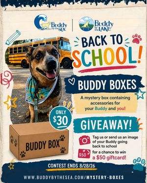 Image post by @shop_buddybythesea on Instagram