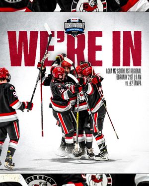 Image post by @ugahockey on Instagram