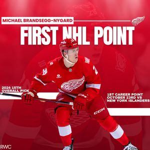 Image post by @redwingscoverage on Instagram