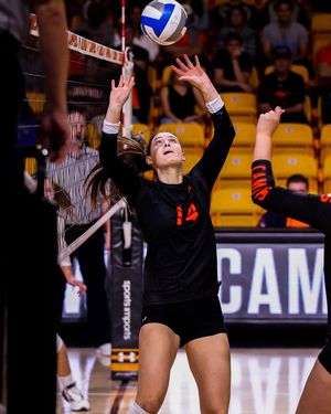 Image post by @gocamelsvb on Instagram