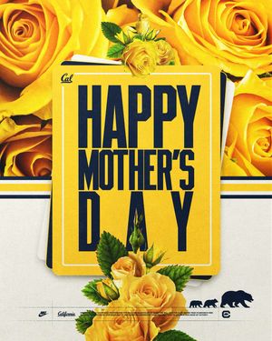Image post by @cal_football on Instagram