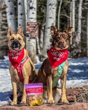 Image post by @charlee_bear_dogtreats on Instagram