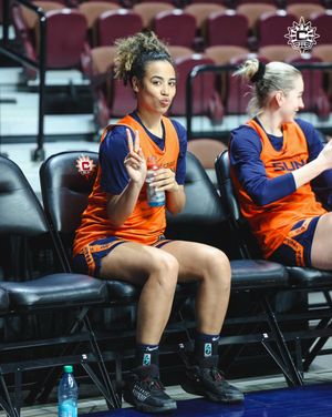 Image post by @ConnecticutSun on Twitter