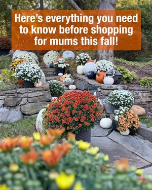 Video post by @homedepot on TikTok