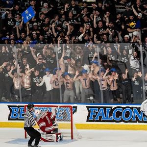 Image post by @bentleychicks on Instagram