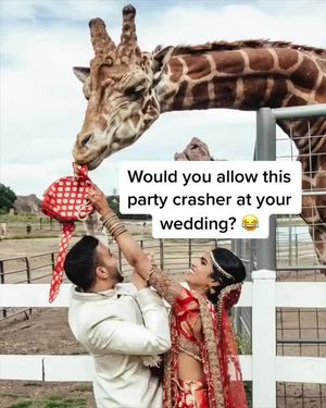 Video post by @lovestoriestv on TikTok