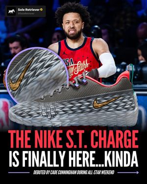 Image post by @soleretriever on Instagram