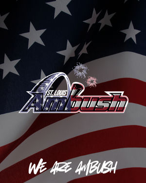 Image post by @stlouisambush on Instagram