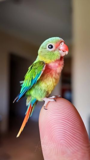 Video post by @ali.aboutine on TikTok