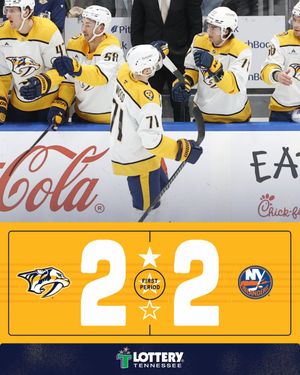 Image post by @PredsNHL on Twitter