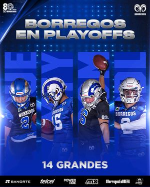 Image post by @borregostec on Instagram