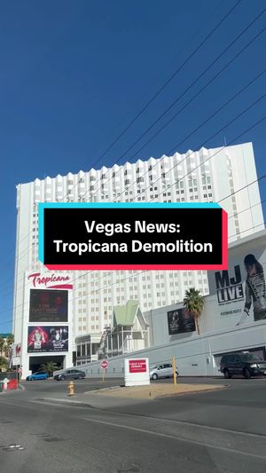 Video post by @vegasstarfish on TikTok