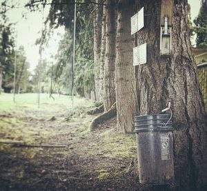 Image post by @lieandloft on Instagram