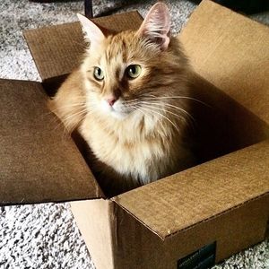 Image post by @amazon on Instagram