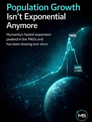 Image post by @themacrosift on Instagram