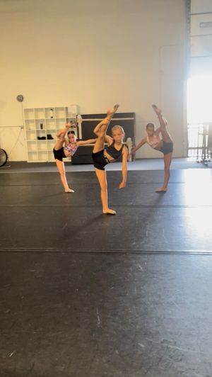 Video post by @elitedanceforcemi on Instagram