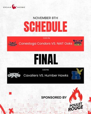 Image post by @ccaasportacsc on Instagram