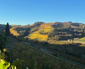 Image post by @villagarassino on Instagram