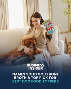 Image post by @solidgoldpets on Instagram