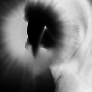 Image post by @dr.lense on Instagram
