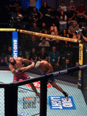 Video post by @ufc on TikTok
