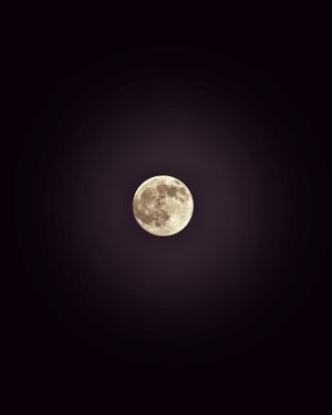 Image post by @bybetsysharon on Instagram