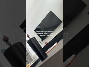 Video post by @lizaotovo on YouTube
