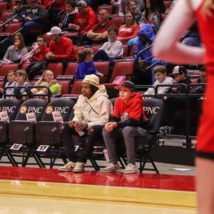 Image post by @isuredbirds on Instagram
