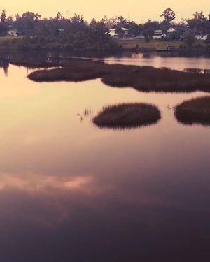 Video post by @RivasImages on Facebook
