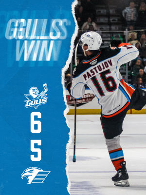 Image post by @sdgullsahl on Instagram