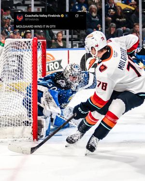 Image post by @firebirds on Instagram