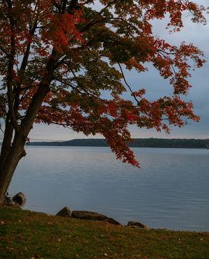 Image post by @huttonbrickyards on Instagram