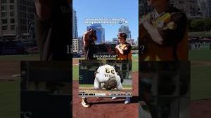 Video post by @batboysbaseball on YouTube