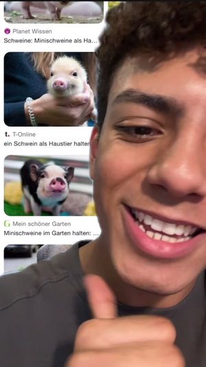 Video post by @toggo on TikTok