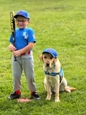 Image post by @canineorg on Instagram