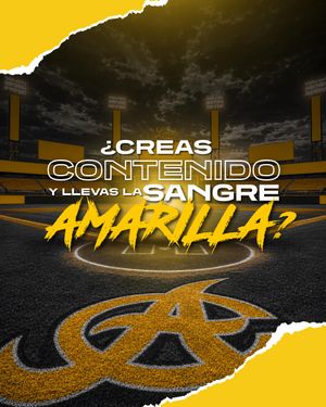 Image post by @aguilasbbc on Instagram