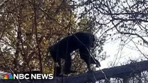 Video post by @nbcnews on YouTube