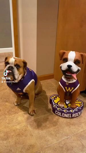 Video post by @westerniluniv on Instagram