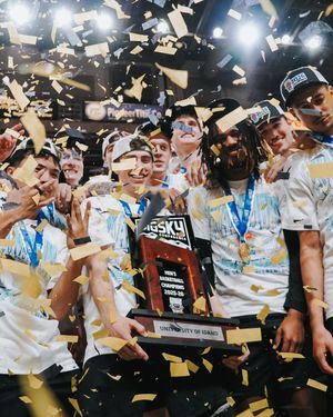 Image post by @vandalhoops on Instagram