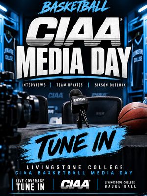 Image post by @bluebearathletics on Instagram