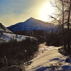 Image post by @skicrestedbutte on Instagram