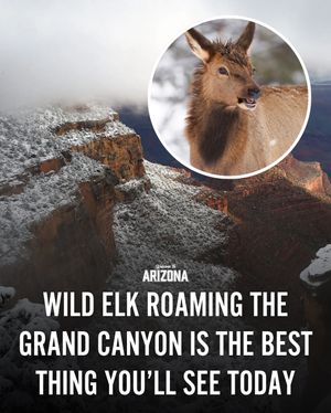 Image post by @welcometoarizona on Instagram