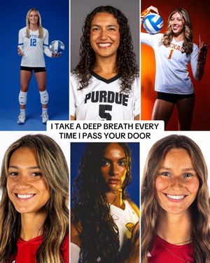 Video post by @ncaavolleyball on TikTok