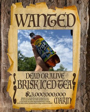 Image post by @brisk on Instagram