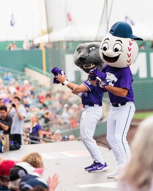 Image post by @kstatesports on Instagram