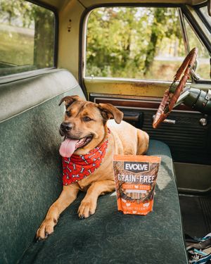 Image post by @evolvepetfood on Instagram