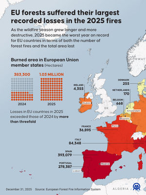 Image post by @anadoluagency on Instagram