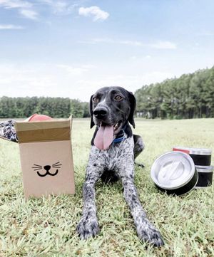 Image post by @petco on Instagram