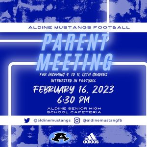 Image post by @aldinemustangfb on Instagram