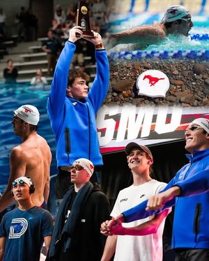 Image post by @smuswimdivem on Instagram